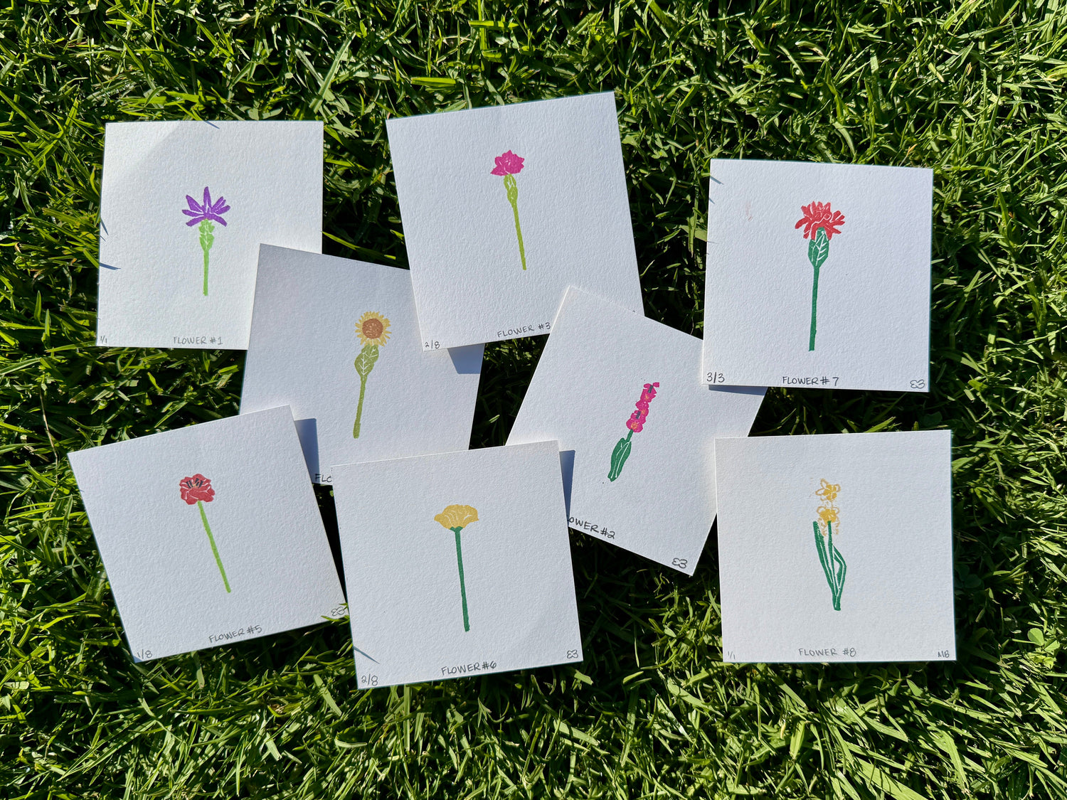 CJ's Flowers - Series 1 Originals