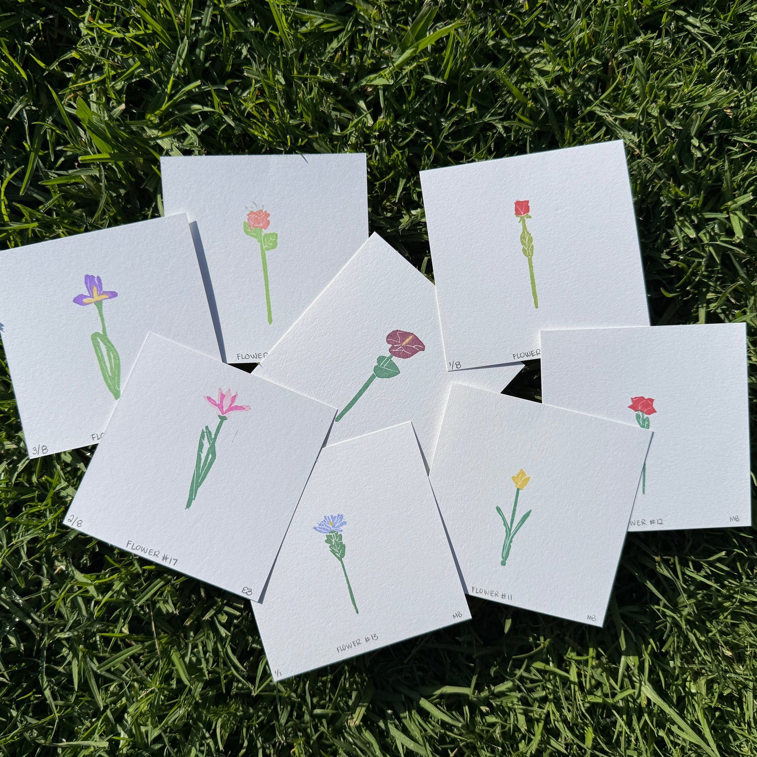 CJ's Flowers - Series 2 Originals