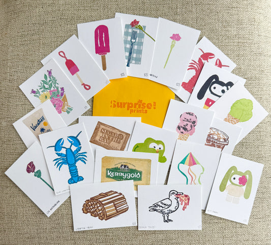 Mega Surprise Pack - ALL COLLECTIONS [20 Prints]