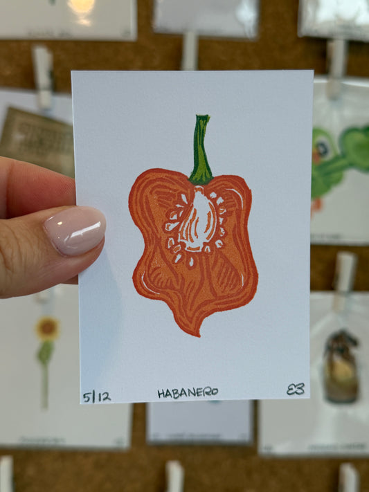 Habanero - Original Linocut