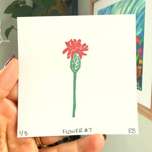 CJ's Flower #7 - Chrysanthemum