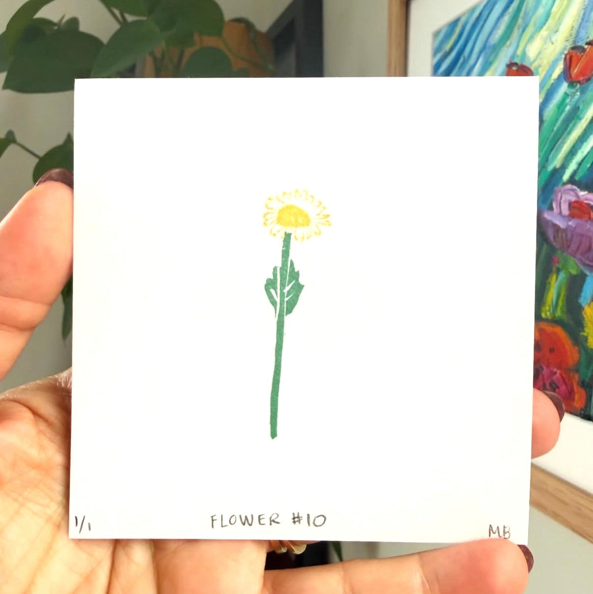CJ's Flower #10 - Oxeye Daisy