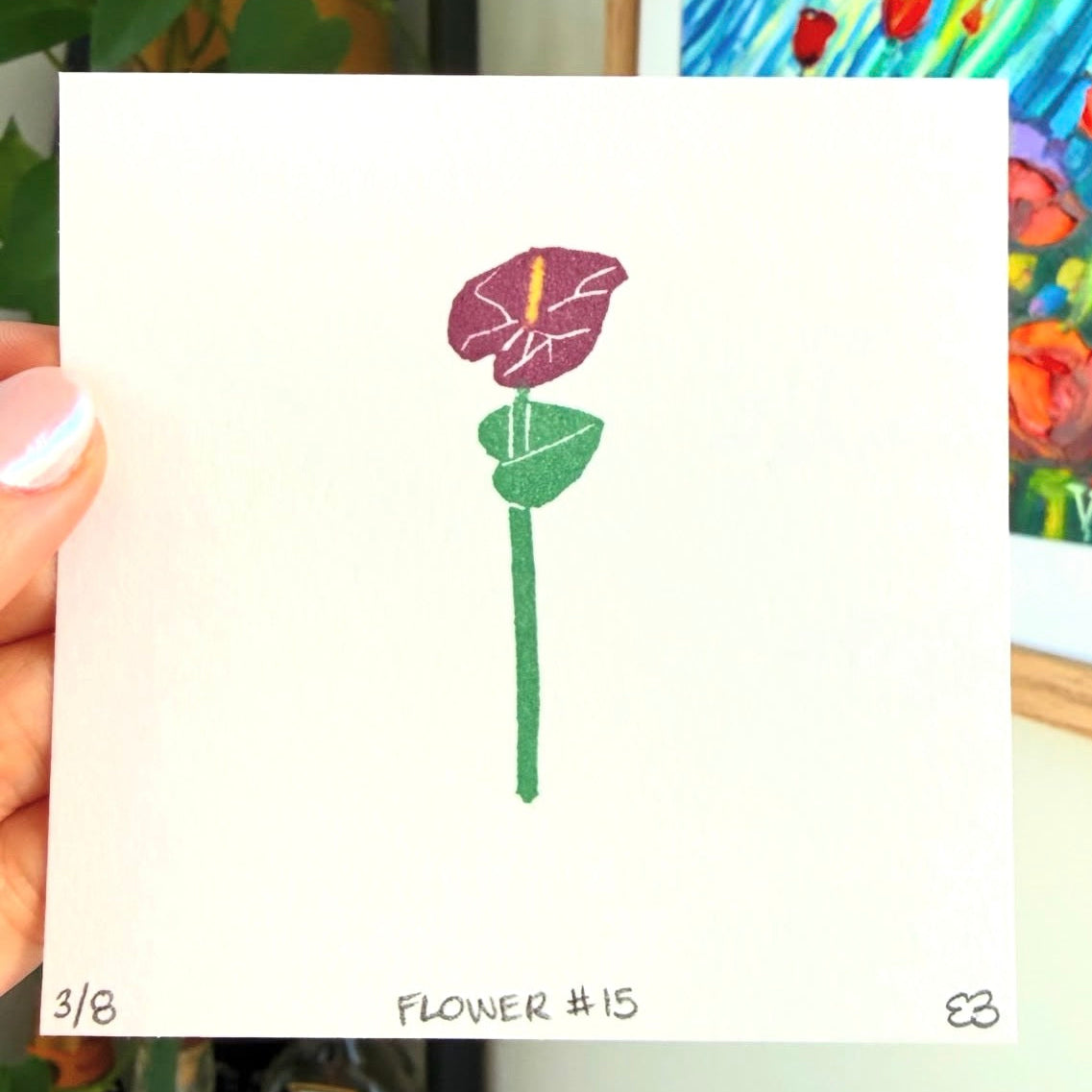 CJ's Flower #15 - Anthurium