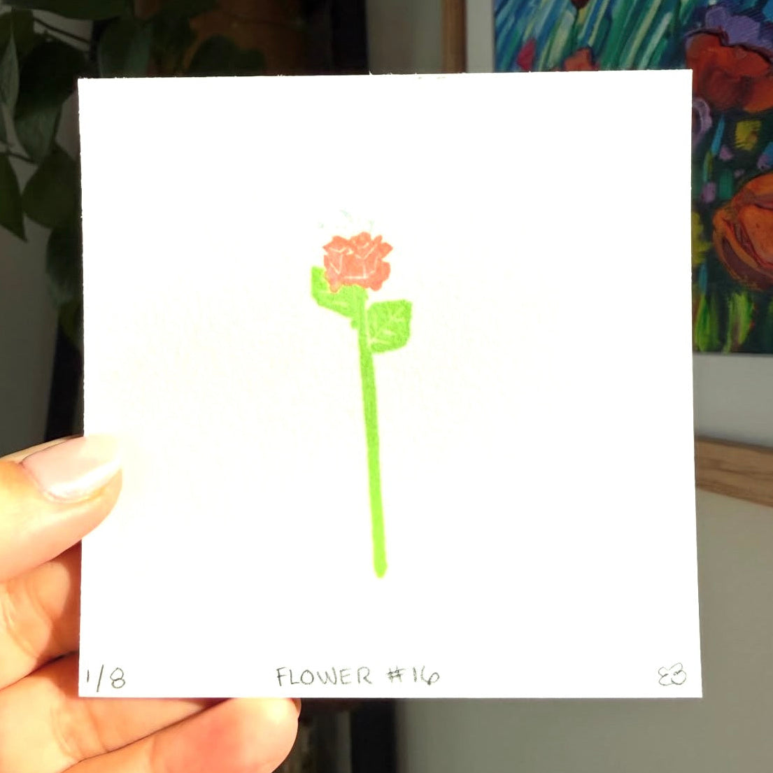 CJ's Flower #16 - Camellia