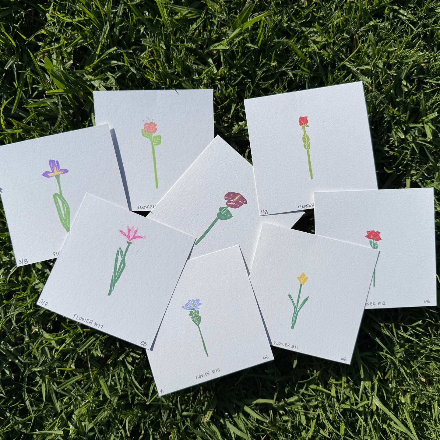 CJ's Flowers Series 2 - Surprise Pack [5 Prints]