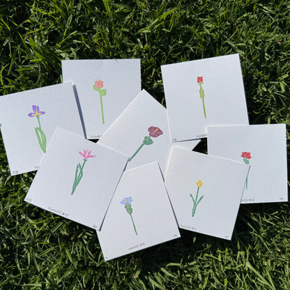 CJ's Flowers Series 2 - Surprise Pack [5 Prints]
