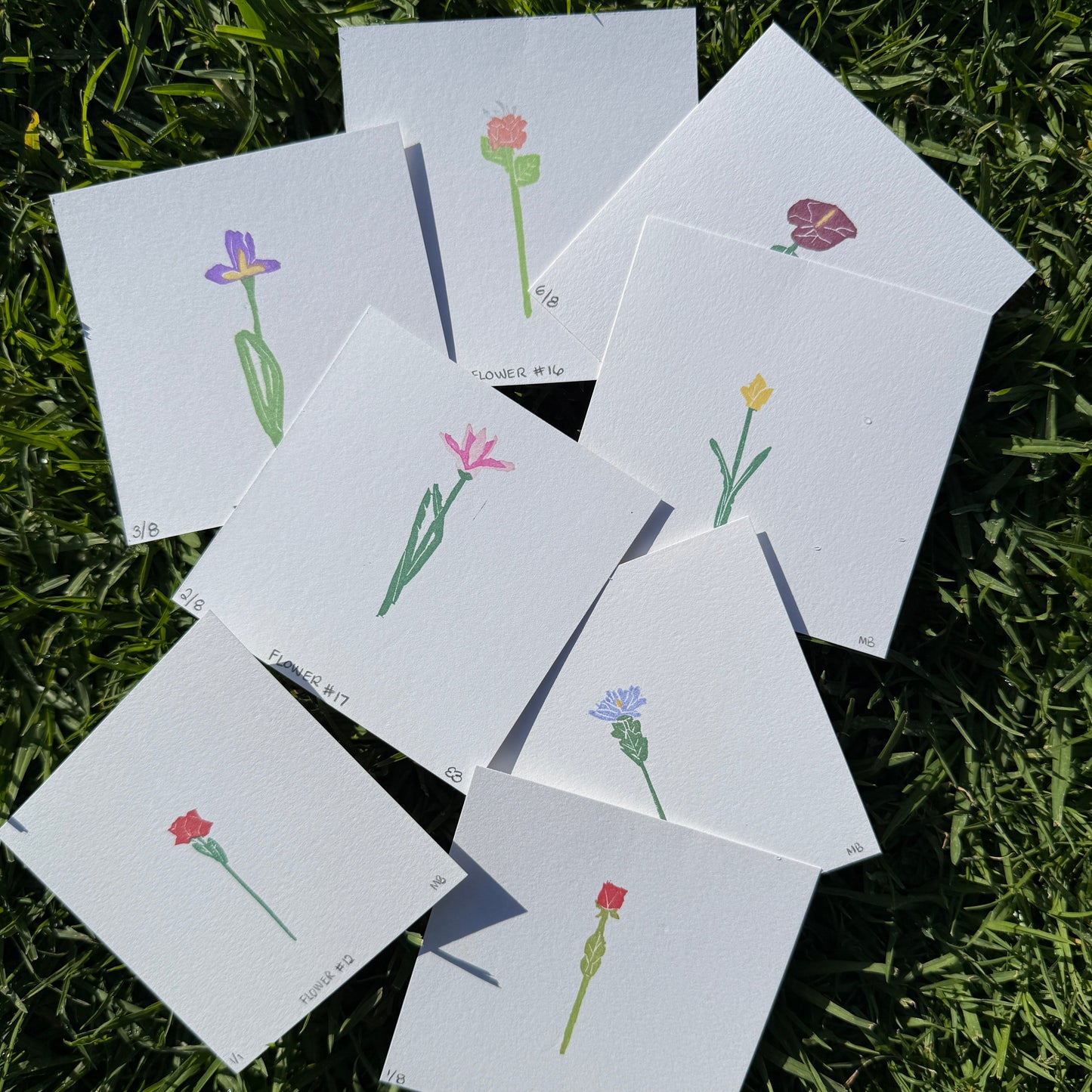 CJ's Flowers Series 2 - Surprise Pack [5 Prints]